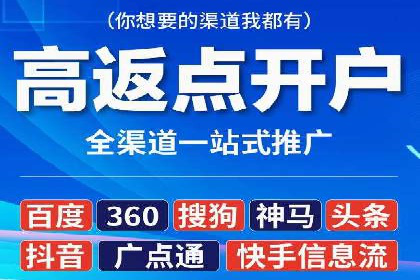 SEO与SEM融合策略：成功案例解析